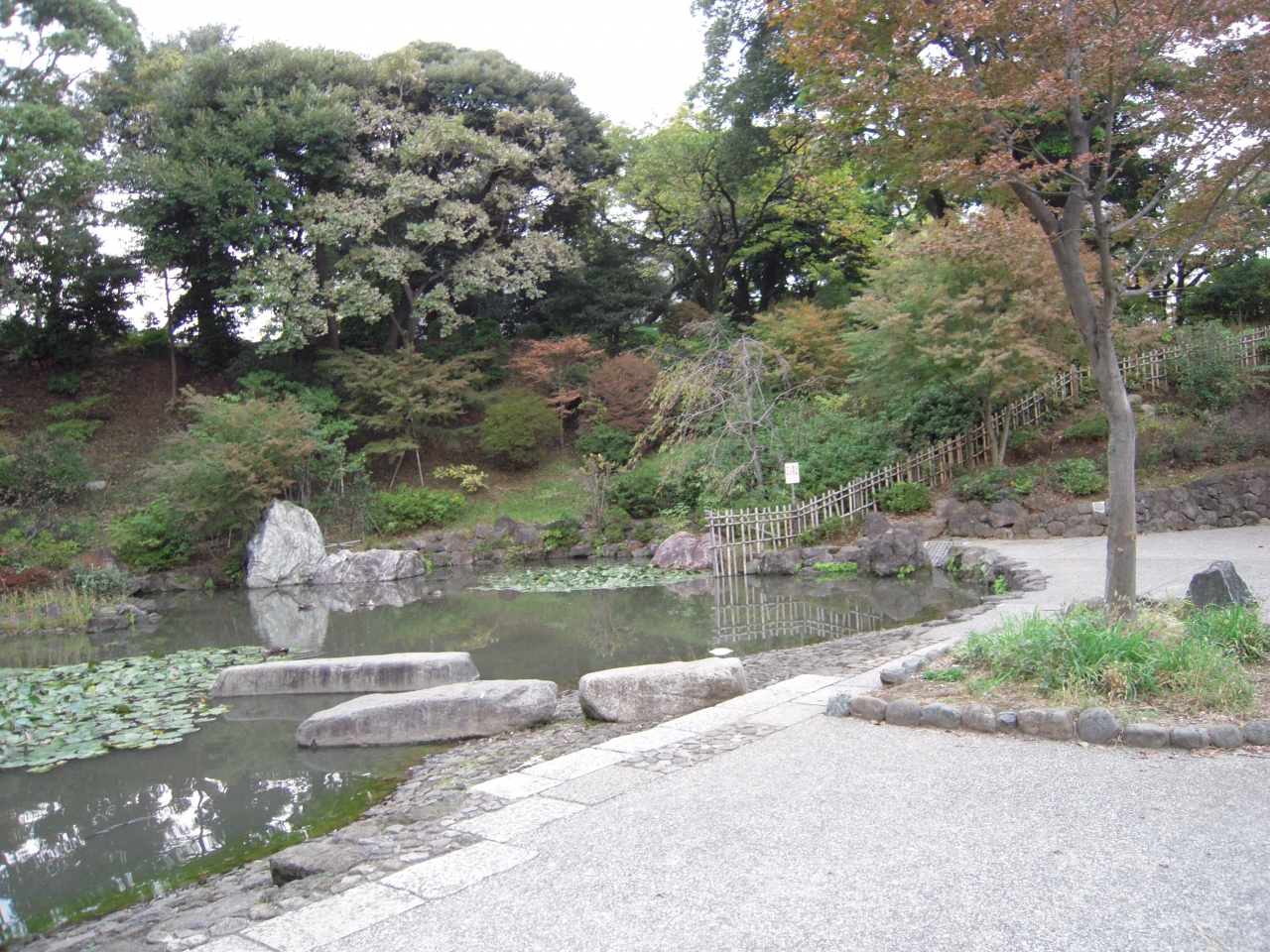 横浜野毛山公園訪問 横浜 神奈川県 の旅行記 ブログ By 滝山氏照さん フォートラベル 横浜野毛山公園訪問 横浜 神奈川県 の旅行記 ブログ By 滝山氏照さん フォートラベル