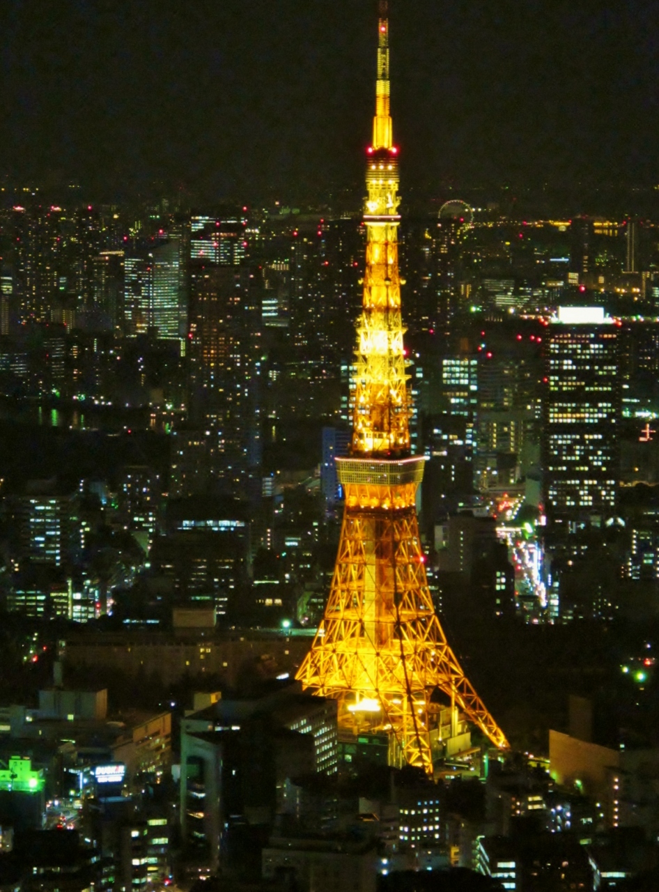 六本木ヒルズ スカイデッキ 大東京の夜景一望に けやき坂 毛利庭園 電飾鮮明 六本木 東京 の旅行記 ブログ By マキタン２さん フォートラベル