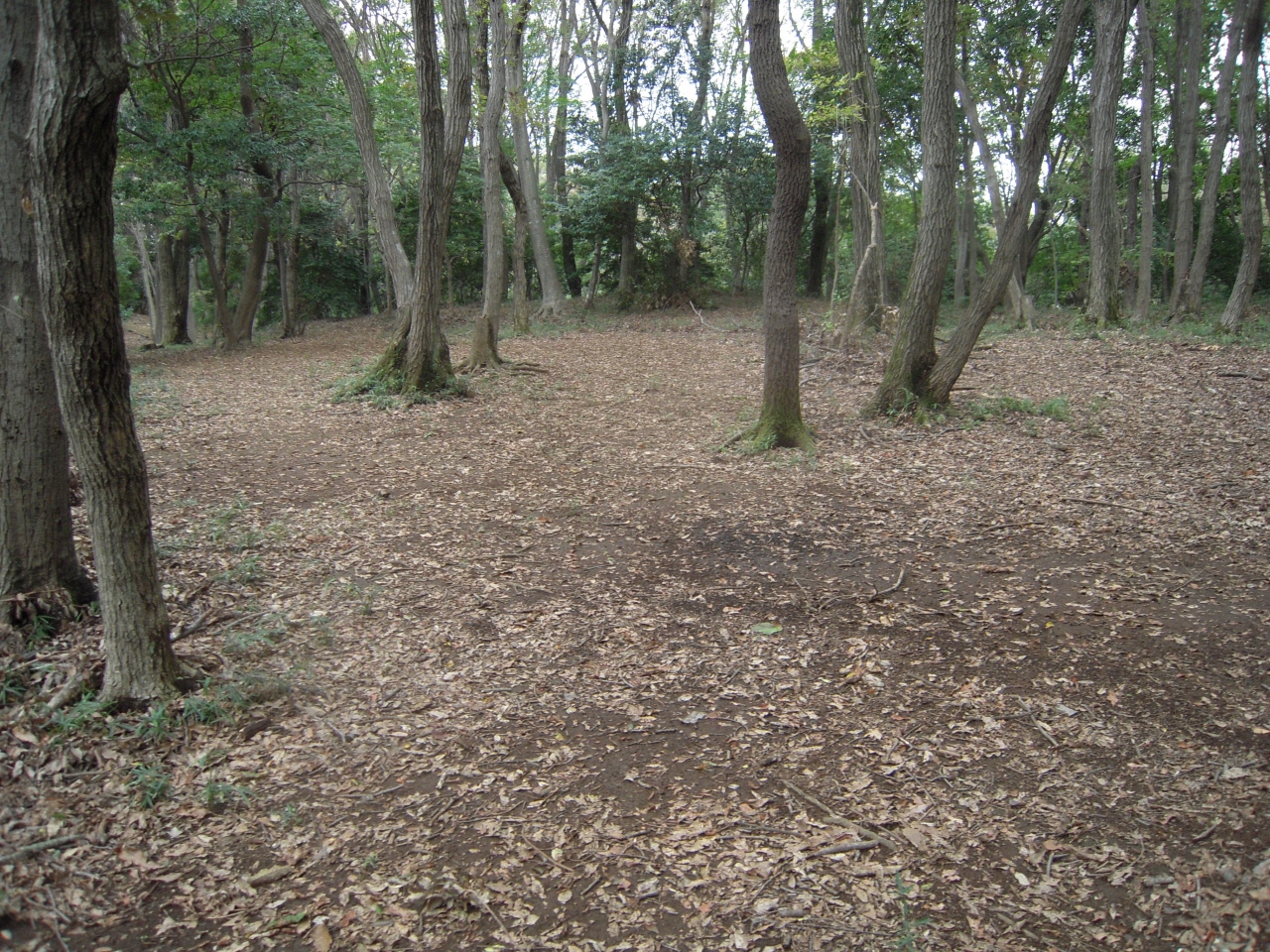 武蔵小野路城跡訪問 町田 東京 の旅行記 ブログ By 滝山氏照さん フォートラベル 武蔵小野路城跡訪問 町田 東京 の旅行記 ブログ By 滝山氏照さん フォートラベル