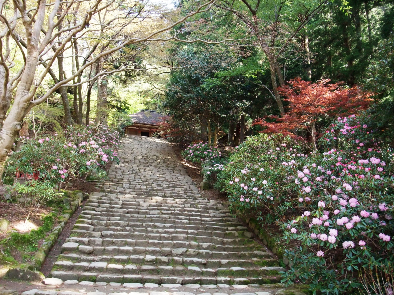 シャクナゲの寺 室生寺 室生 宇陀 奈良県 の旅行記 ブログ By ナオさん フォートラベル