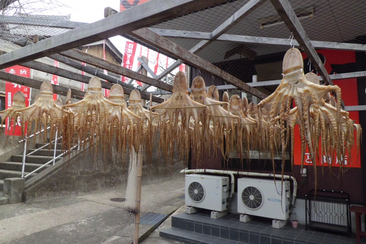 近くに行きたい よっ暇か じゃなくって日間賀島へタコ飯食べに行きました V 篠島 日間賀島 佐久島 愛知県 の旅行記 ブログ By Kotetsupatapataさん フォートラベル 近くに行きたい よっ暇か じゃなくって日間賀島へタコ飯食べに行きました V 篠島 日間賀島 佐久島 愛知県 の旅行記 ブログ By Kotetsupatapataさん フォートラベル