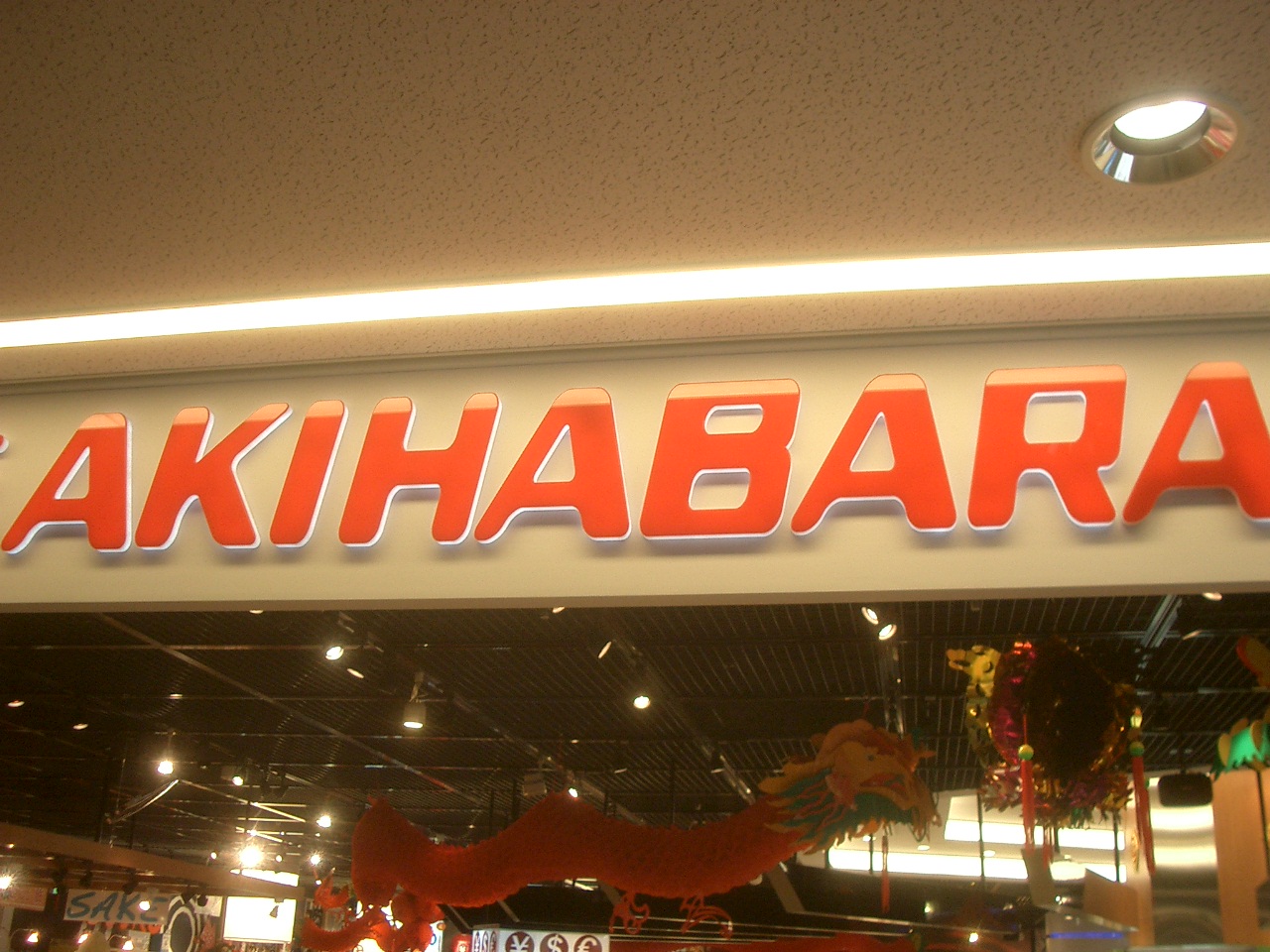 Akihabara も Harajuku もある成田空港 成田 千葉県 の旅行記 ブログ By Nomonomoさん フォートラベル
