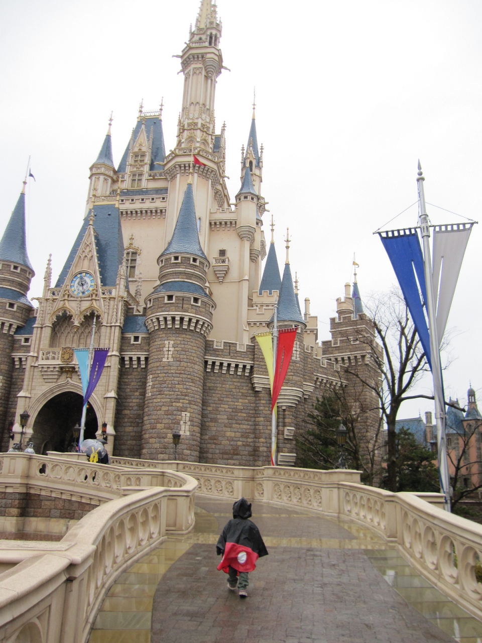 3歳児と妊婦 冬のｔｄｌ 東京ディズニーリゾート 千葉県 の旅行記