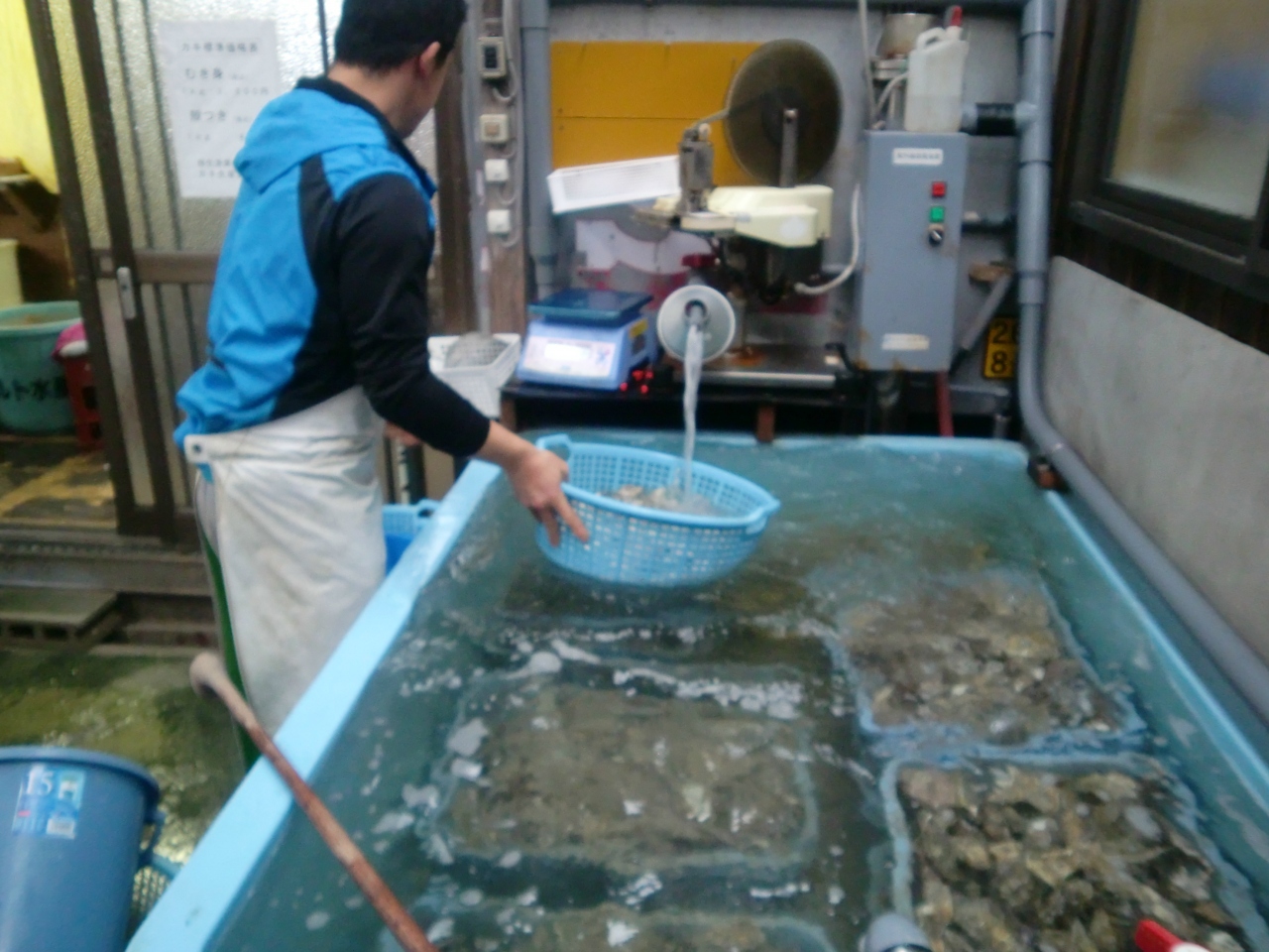 牡蠣加工場で直接牡蠣を購入する 相生 鰯浜 相生 兵庫県 の旅行記 ブログ By 花くらげさん フォートラベル 牡蠣加工場で直接牡蠣を購入する 相生 鰯浜 相生 兵庫県 の旅行記 ブログ By 花くらげさん フォートラベル