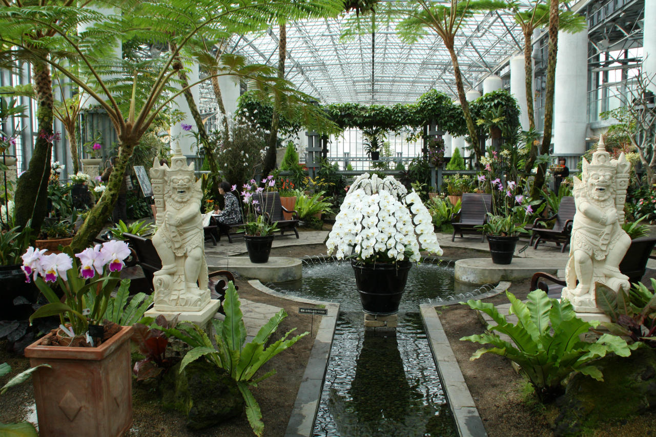 淡路島 奇跡の星の植物園 蘭展12 淡路島 兵庫県 の旅行記 ブログ By 花好京人さん フォートラベル