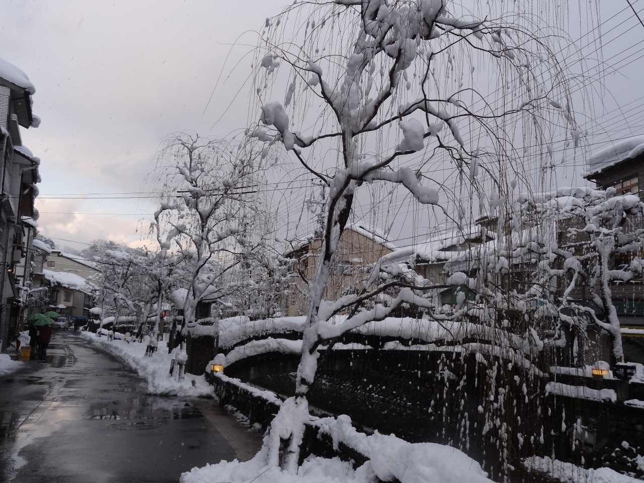 雪の城崎温泉へ蟹づくしの旅 城崎温泉 兵庫県 の旅行記 ブログ By ひとぴちゃんさん フォートラベル 雪の城崎温泉へ蟹づくしの旅 城崎温泉 兵庫県 の旅行記 ブログ By ひとぴちゃんさん フォートラベル