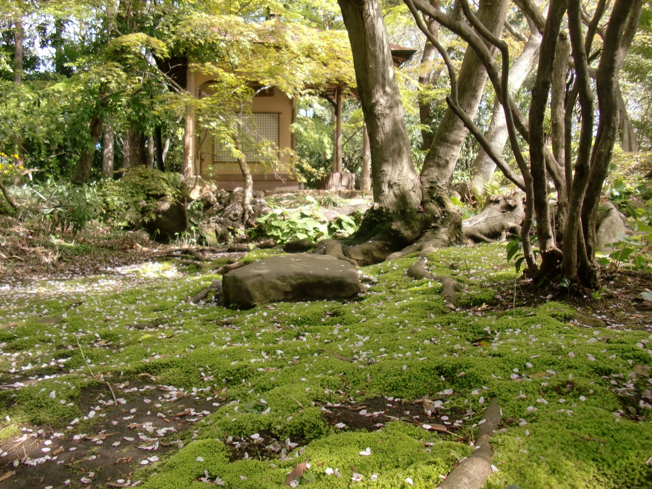 鎌倉期末期から南北朝初期にかけて活躍した名僧夢想國師創建にして旧沼津御用邸に滞在せりし皇族に寵愛されし名刹 駿河國沼津大中寺 沼津 静岡県 の旅行記 ブログ By 横浜臨海公園さん フォートラベル 鎌倉期末期から南北朝初期にかけて活躍した名僧夢想國師創建にして旧沼津御用邸に滞在せりし皇族に寵愛されし名刹 駿河國沼津大中寺 沼津 静岡県 の旅行記 ブログ By 横浜臨海公園さん フォートラベル