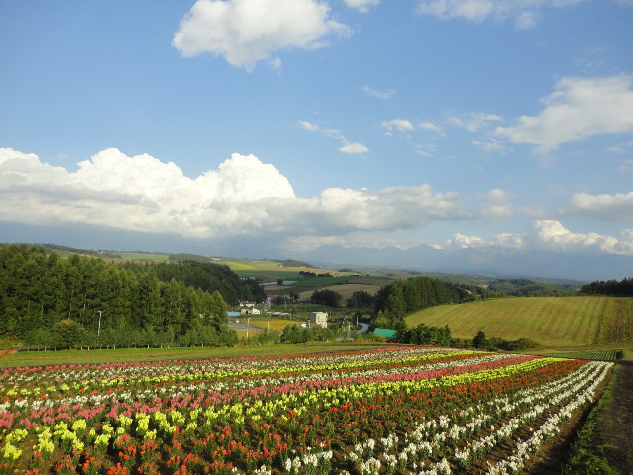 秋の北海道グルメ 自然満喫ツアー 小樽 北海道 の旅行記 ブログ By いっちさん フォートラベル 秋の北海道グルメ 自然満喫ツアー 小樽 北海道 の旅行記 ブログ By いっちさん フォートラベル