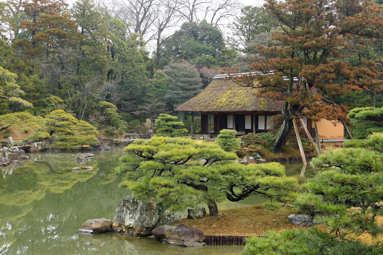 京都の御所と離宮 10 桂離宮の冬景色 嵐山 嵯峨野 太秦 桂 京都 の旅行記 ブログ By ぺこにゃんさん フォートラベル