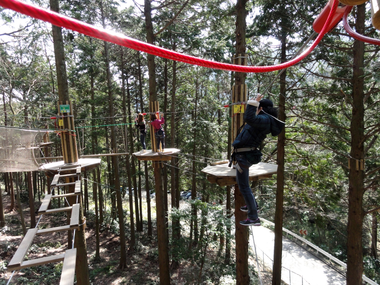 12年3月 強羅温泉とフォレストアドベンチャー箱根 塔ノ沢温泉 神奈川県 の旅行記 ブログ By Taxnaxさん フォートラベル