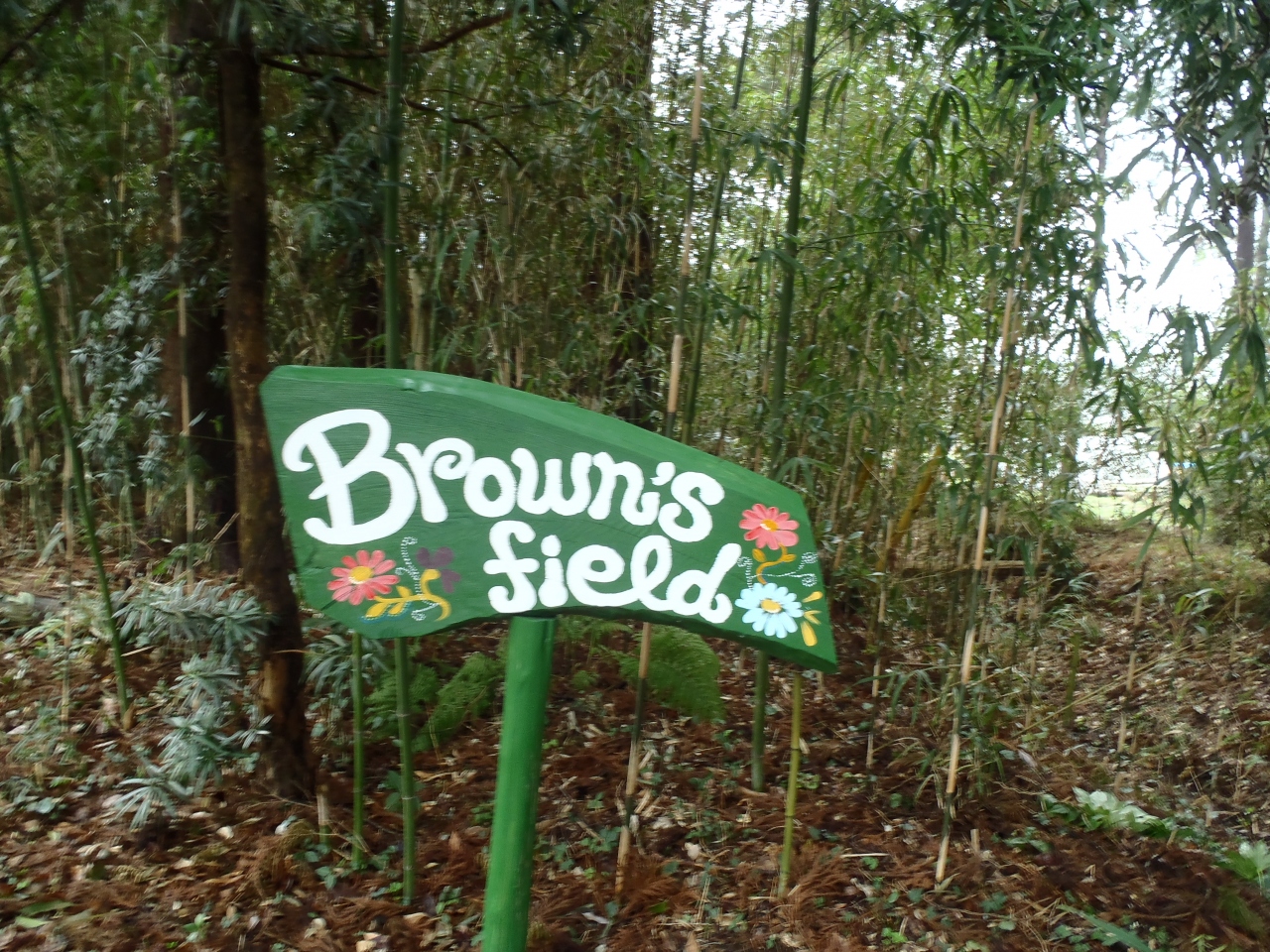 岬町 ブラウンズフィールド ライステラスカフェで ランチ いすみ 大多喜 千葉県 の旅行記 ブログ By ミンさん フォートラベル 岬町 ブラウンズフィールド ライステラスカフェで ランチ いすみ 大多喜 千葉県 の旅行記 ブログ By ミンさん フォートラベル