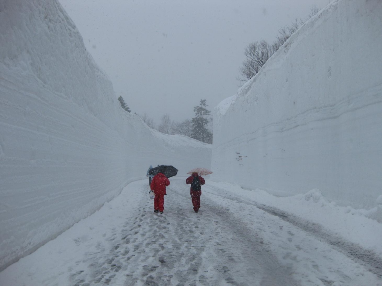 八甲田 雪の回廊と温泉 ウォークへ参加してみた 両親が 八甲田 酸ヶ湯温泉 青森県 の旅行記 ブログ By ともこさん フォートラベル 八甲田 雪の回廊と温泉 ウォークへ参加してみた 両親が 八甲田 酸ヶ湯温泉 青森県 の旅行記 ブログ By ともこさん フォートラベル