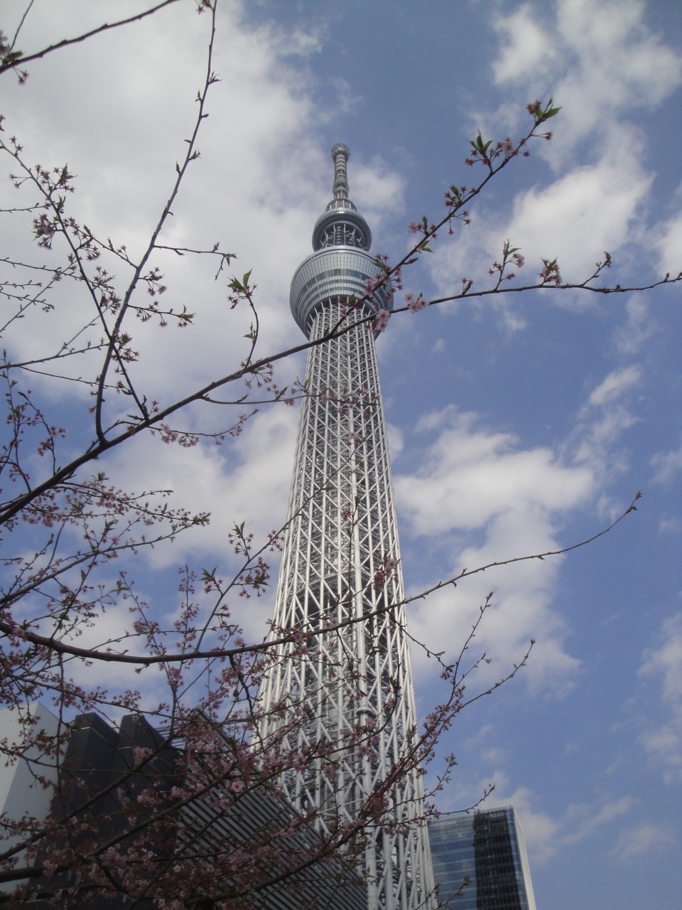 プレ オープン 東京スカイツリー 東京の旅行記 ブログ By 旅する人さん フォートラベル