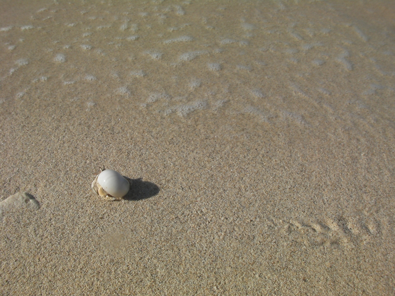 11年10月 秋のシュノーケル 沖縄 その１ 沖縄県の旅行記 ブログ By ｑ太さん フォートラベル