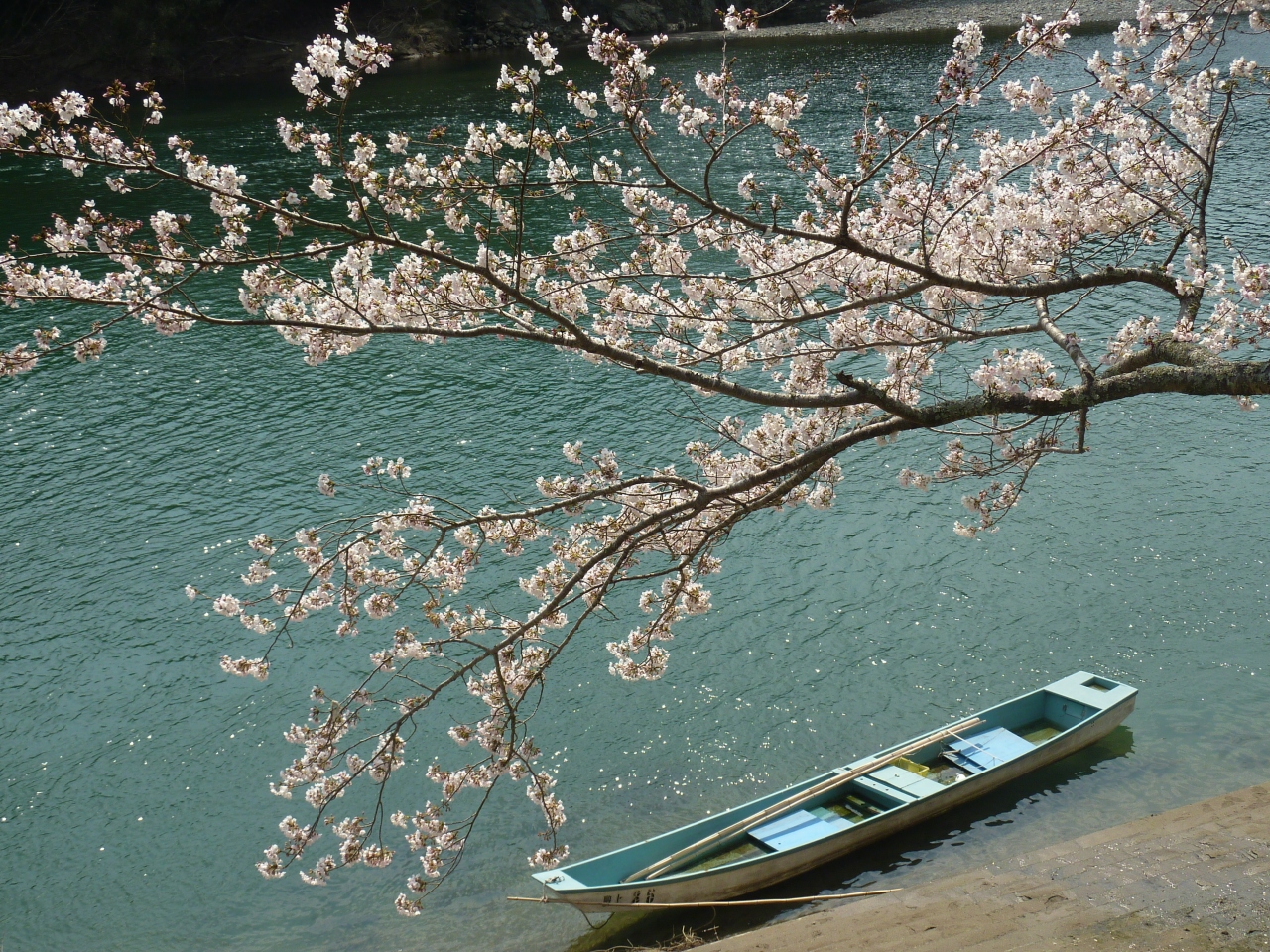 爛漫の桜を愛でながら 桜淵公園から腕扱山へ 新城 愛知県 の旅行記 ブログ By みちるさん フォートラベル