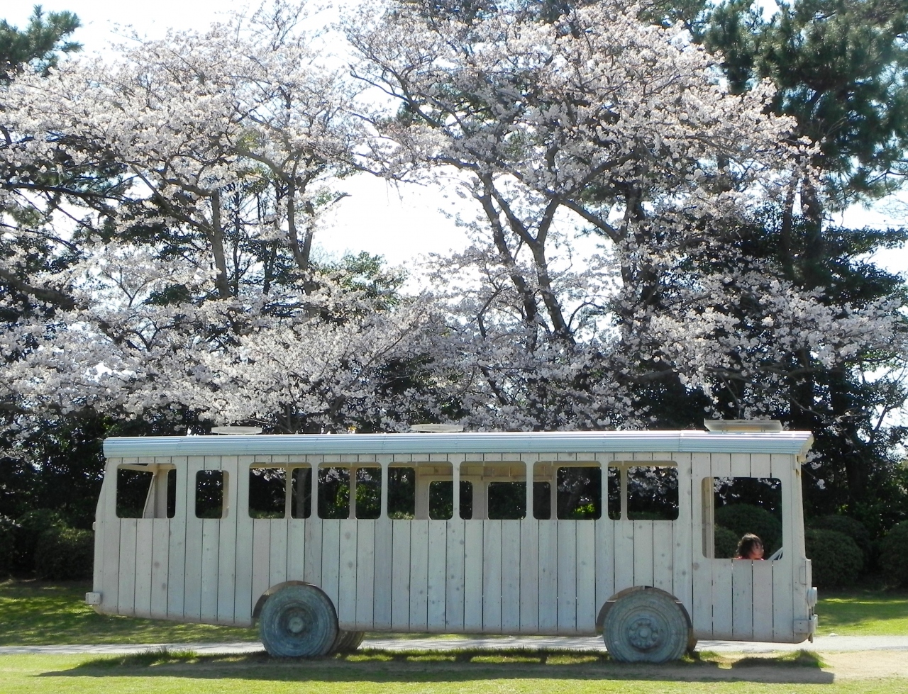 満開の桜に包まれて 山口県宇部市 常盤公園 宇部 小野田 山口県 の旅行記 ブログ By つばささん フォートラベル