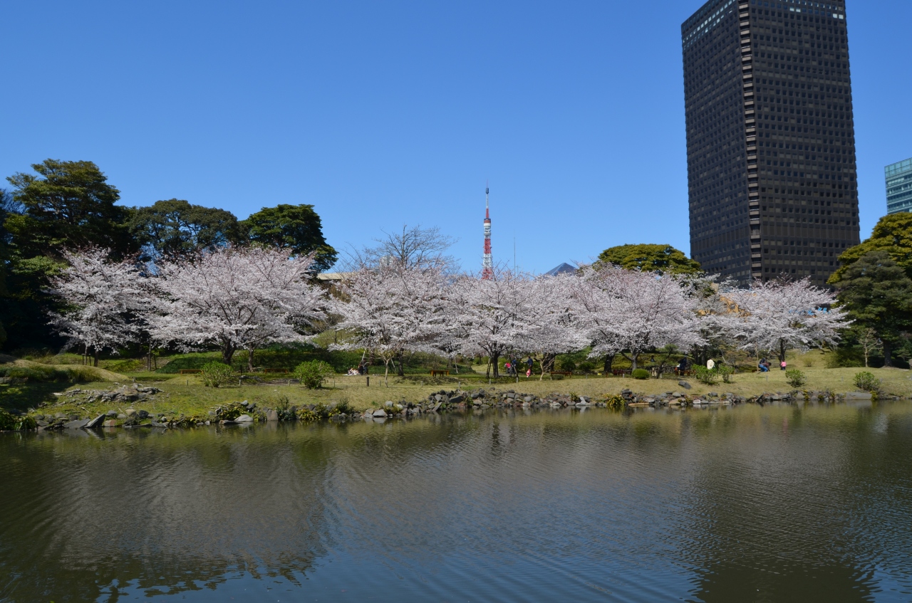 東京ぶらぶら さくら満開 芝離宮 浜離宮 ２０１２ 汐留 東京 の旅行記 ブログ By Takeおじさん フォートラベル