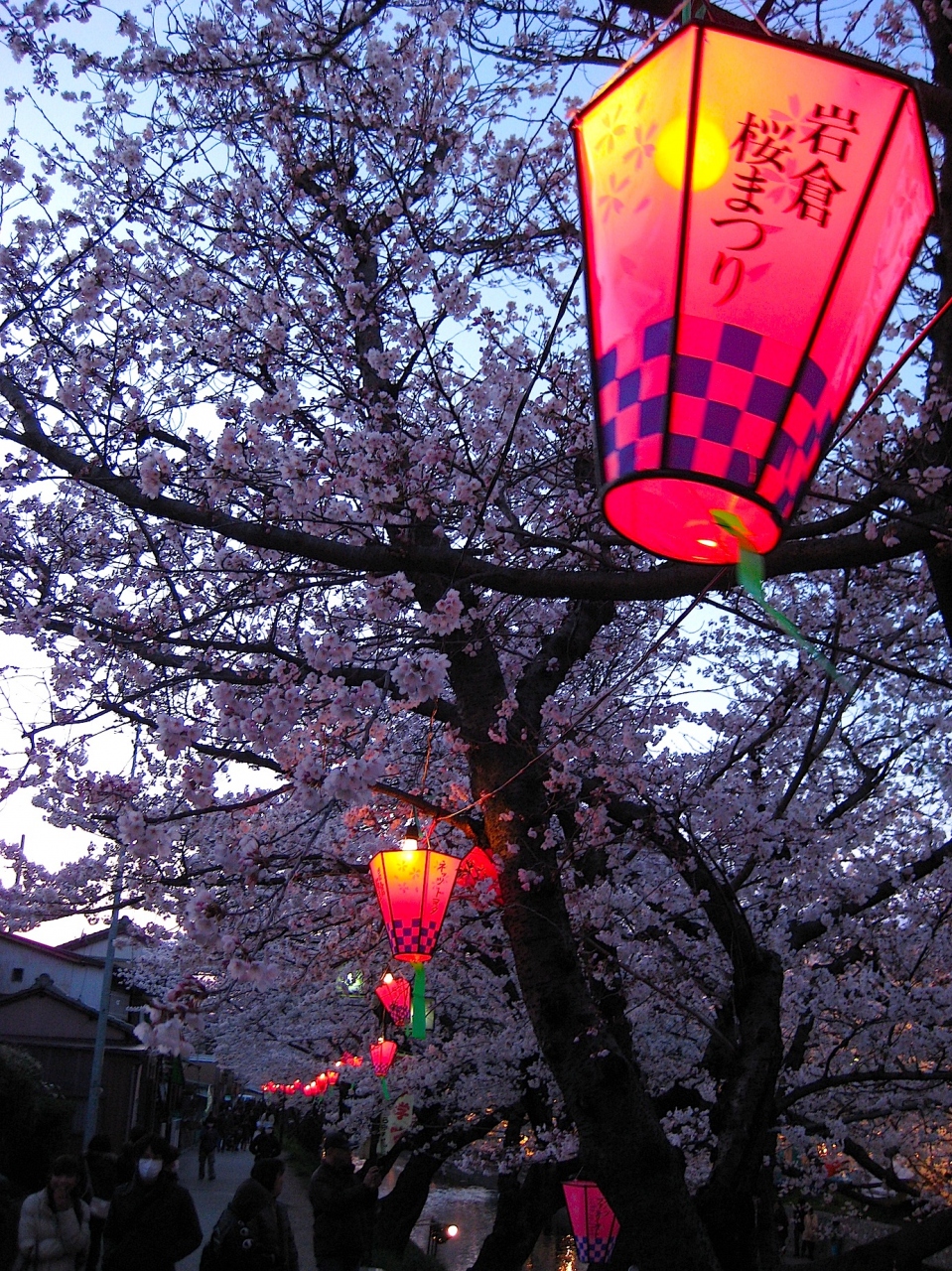 12 4 7 恒例の岩倉五条川桜まつり ちょっとだけ夜桜 岩倉 江南 愛知県 の旅行記 ブログ By Crossさん フォートラベル