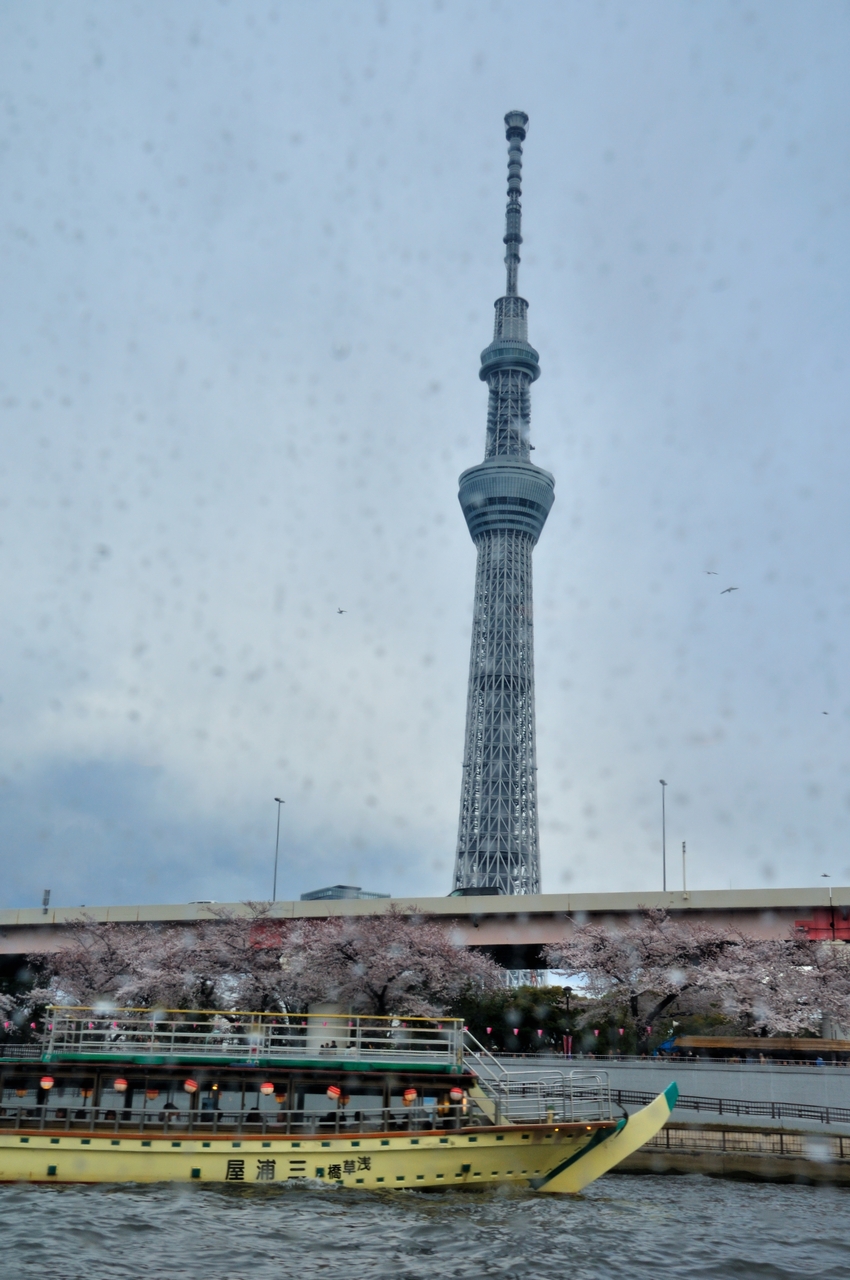隅田川お花見クルーズに行ってきました 浅草 東京 の旅行記 ブログ By パピーさん フォートラベル