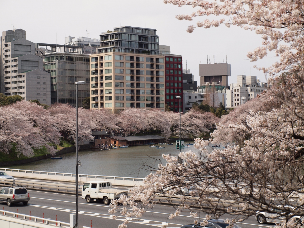 お花見2012 半蔵門 靖国神社 四ツ谷 東京 の旅行記 ブログ By Ninpenmanmaru あおいさん フォートラベル お花見2012 半蔵門 靖国神社 四ツ谷 東京 の旅行記 ブログ By Ninpenmanmaru あおいさん フォートラベル