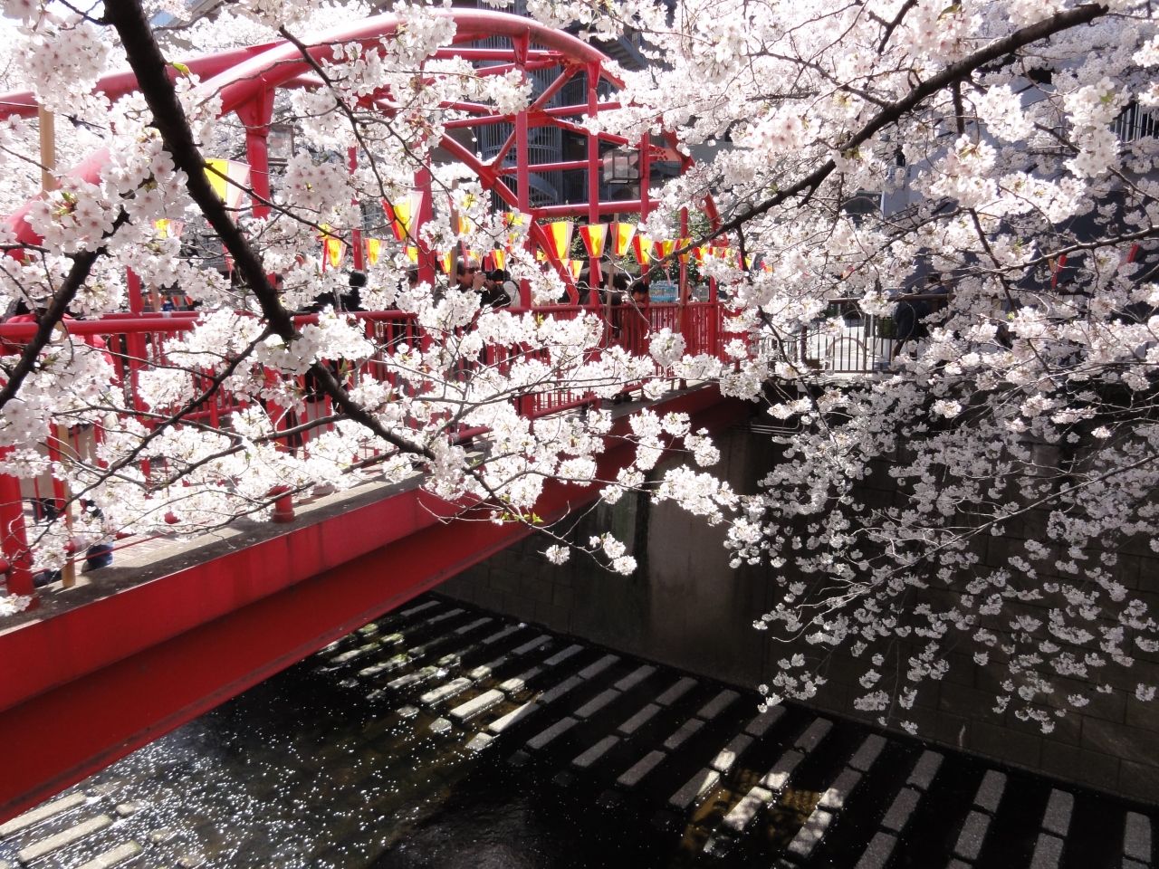 目黒川 満開サクラ散歩12 中目黒 祐天寺 東京 の旅行記 ブログ By Umechan2さん フォートラベル