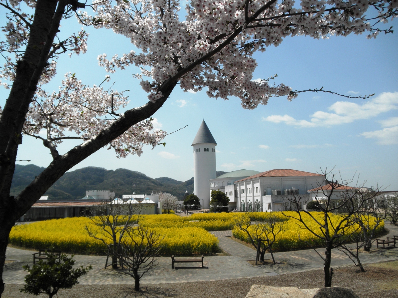 散り行く桜を惜しんでサウスビレッジを散策 岡山市 岡山県 の旅行記 ブログ By 吉備津彦さん フォートラベル