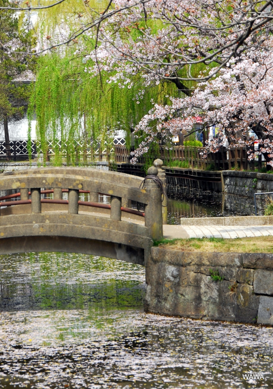 霞ヶ浦一周 土浦市編 土浦 茨城県 の旅行記 ブログ By Mireinaさん フォートラベル 霞ヶ浦一周 土浦市編 土浦 茨城県 の旅行記 ブログ By Mireinaさん フォートラベル