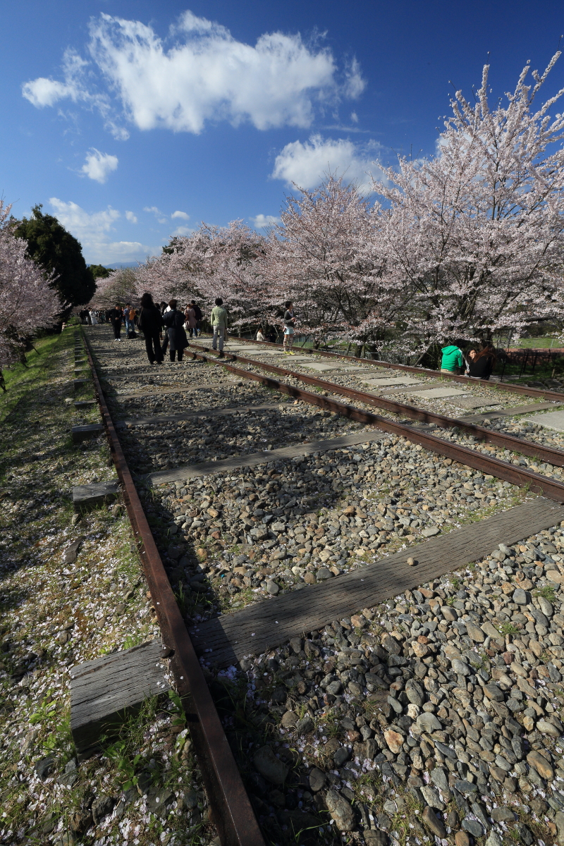 京都蹴上インクラインと平野神社の桜 12 東山 祇園 北白川 京都 の旅行記 ブログ By まもちんさん フォートラベル