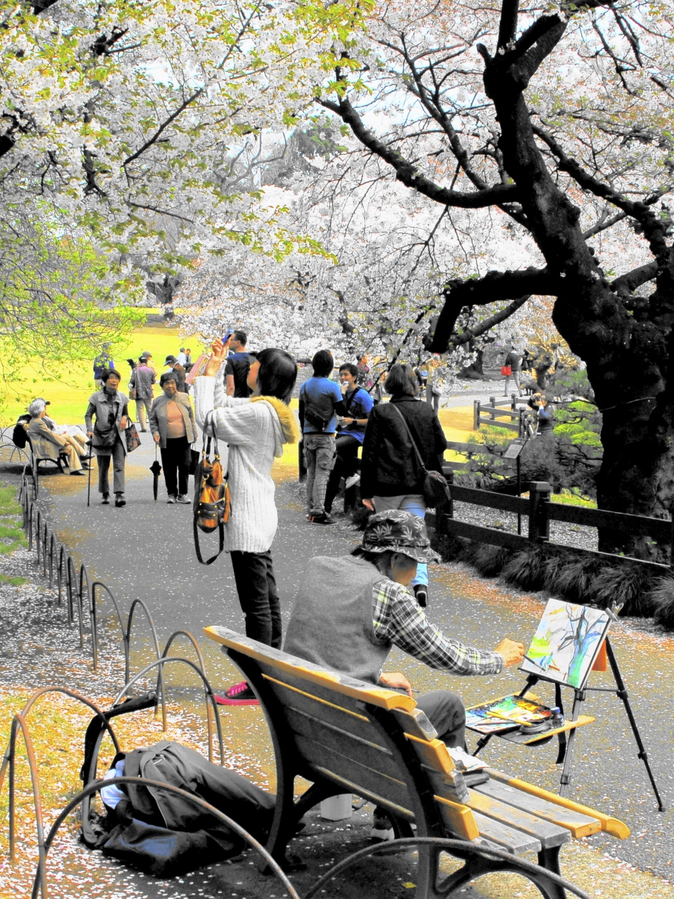 新宿御苑 散り際の桜を撮る 新宿 東京 の旅行記 ブログ By Kazuさん フォートラベル 新宿御苑 散り際の桜を撮る 新宿 東京 の旅行記 ブログ By Kazuさん フォートラベル