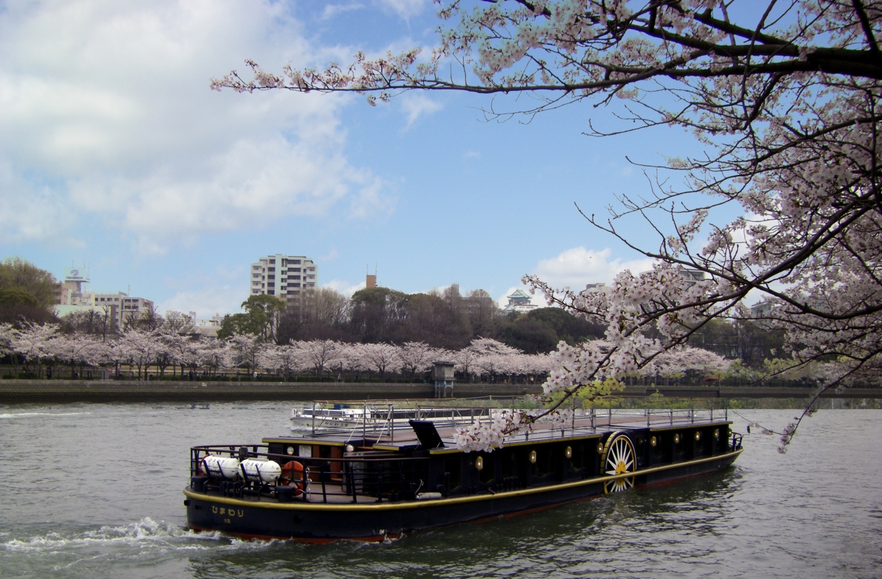 グルメ ミュージック船 ひまわり 桜ランチクルーズ 桜の名所大阪 大川で帝国ホテルの食事が楽しめるクルーズ 大阪城 京橋 大阪 の旅行記 ブログ By 旅まくり三助さん フォートラベル