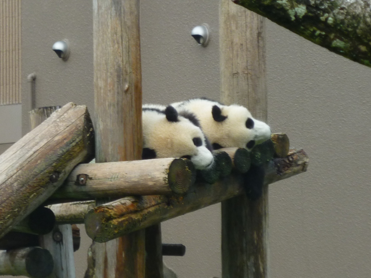 おばばちゃん孝行の旅 白浜 みなべ 南紀白浜 和歌山県 の旅行記 ブログ By Novakiさん フォートラベル おばばちゃん孝行の旅 白浜 みなべ 南紀白浜 和歌山県 の旅行記 ブログ By Novakiさん フォートラベル