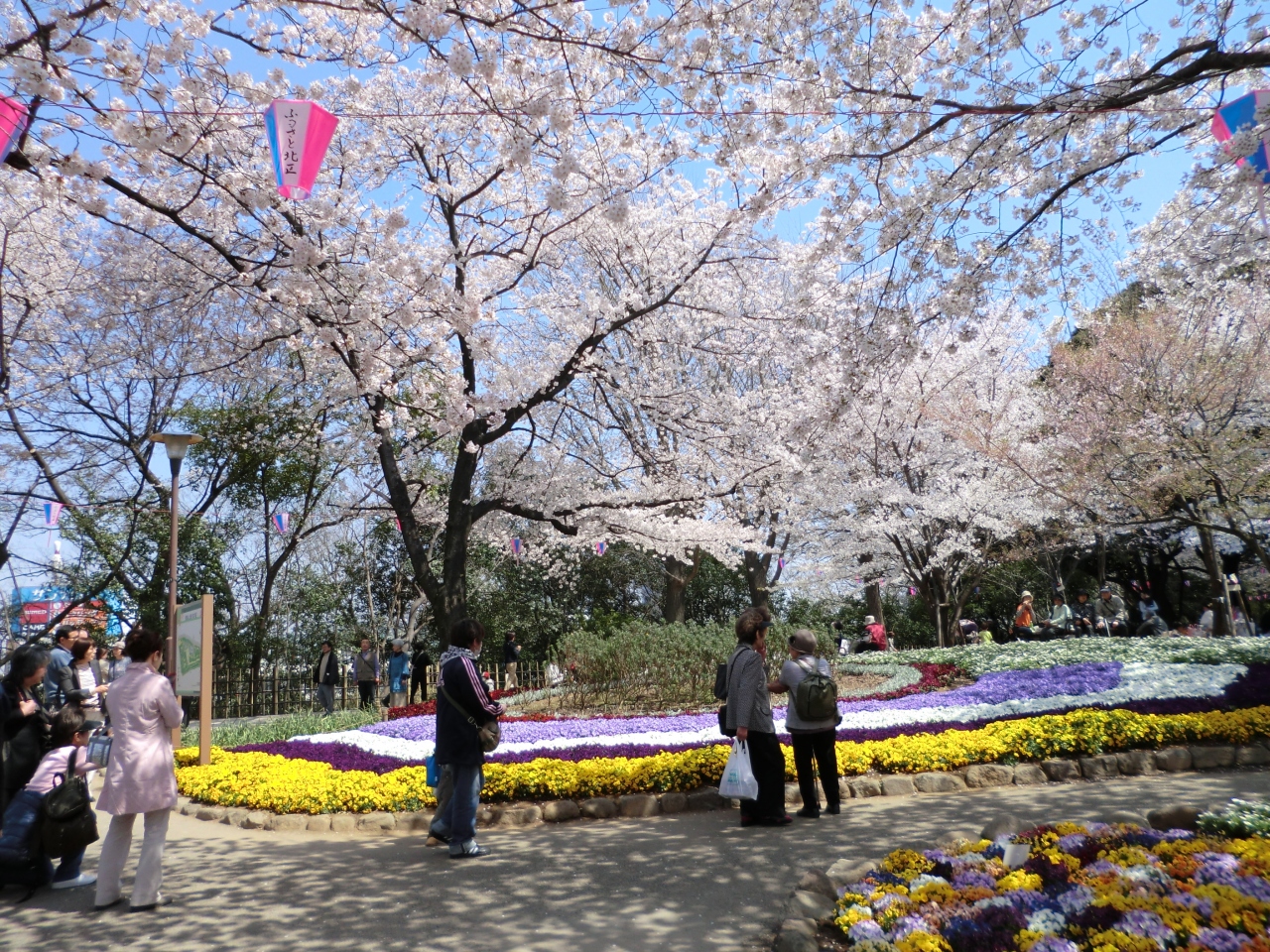 飛鳥山公園の桜 王子 十条 東京 の旅行記 ブログ By Yoshitoさん フォートラベル