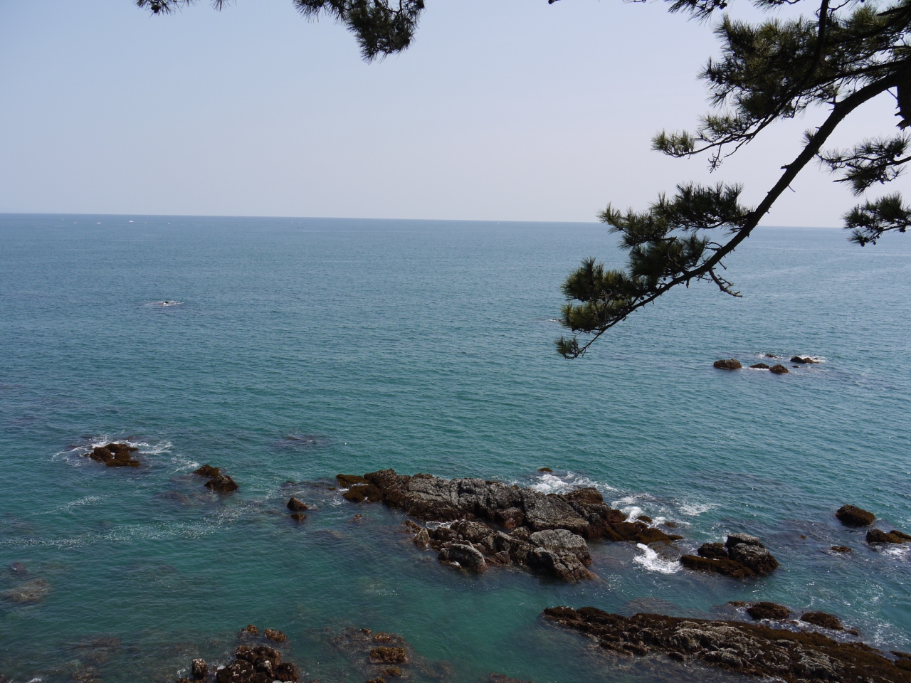 12年 四国の旅 桂浜の竜宮祭り 高知城の花回廊 高知市 高知県 の旅行記 ブログ By サリーさん フォートラベル