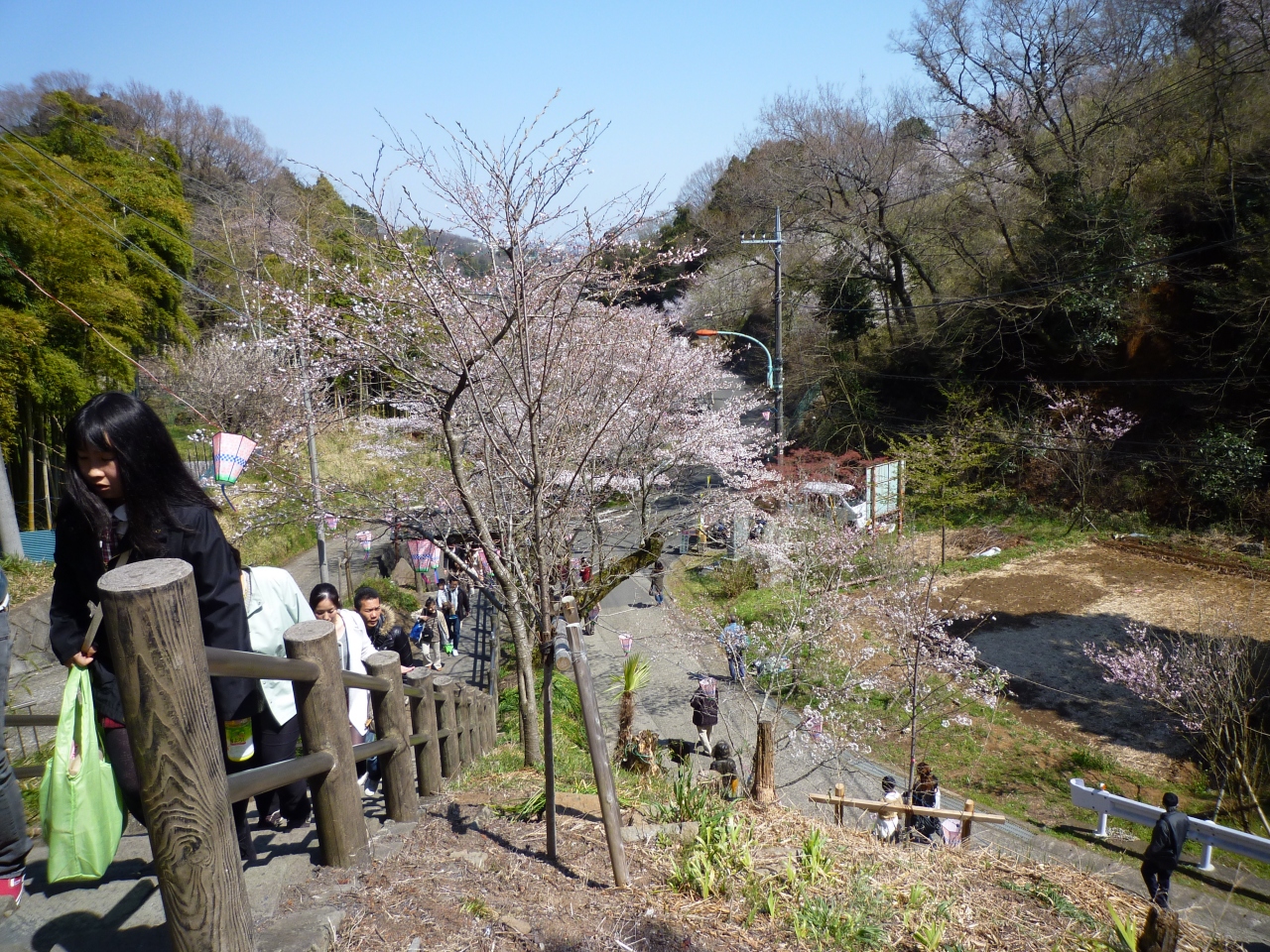 厚木市飯山桜祭り 丹沢 大山 神奈川県 の旅行記 ブログ By Akkiyさん フォートラベル