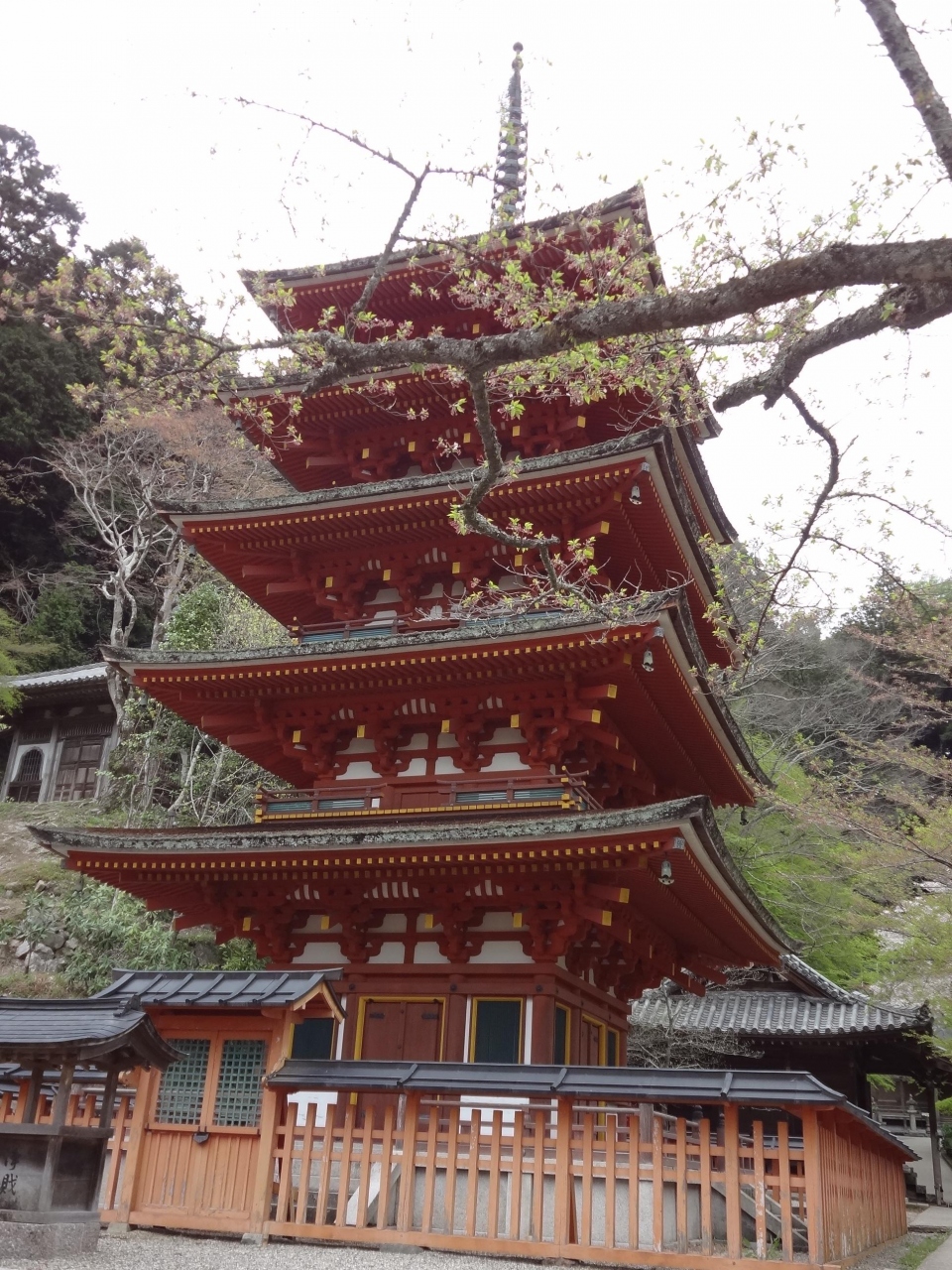 お花見12番外編 特別御開帳 奈良 総本山長谷寺 桜井 三輪 山の辺の道 奈良県 の旅行記 ブログ By アザレアさん フォートラベル