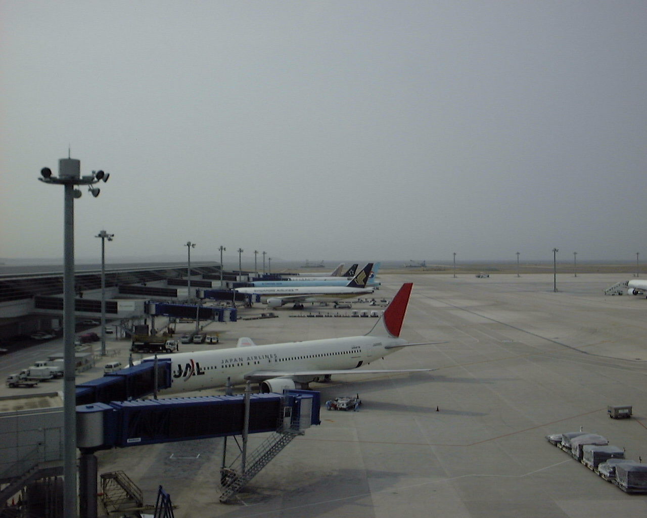 05年5月1日の中部国際空港とanaの新ユニフォーム 常滑 セントレア 中部国際空港 愛知県 の旅行記 ブログ By 空を飛ぶなら青の翼に星屑の仲間たちさん フォートラベル 05年5月1日の中部国際空港とanaの新ユニフォーム 常滑 セントレア 中部国際空港 愛知県 の旅行記 ブログ By 空を飛ぶなら青の翼に星屑の仲間たちさん フォートラベル