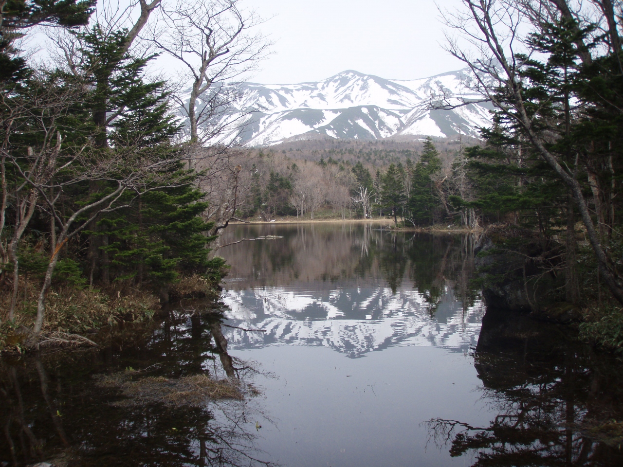 知床 ひとり旅 国内の世界遺産が見たい ウトロ 北海道 の旅行記 ブログ By たびもとさん フォートラベル 知床 ひとり旅 国内の世界遺産が見たい ウトロ 北海道 の旅行記 ブログ By たびもとさん フォートラベル