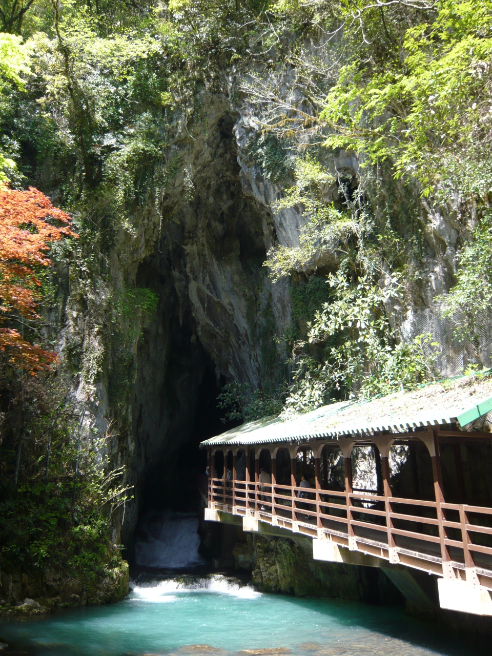 中国 四国の旅 秋吉台 秋吉台 山口県 の旅行記 ブログ By Mondoさん フォートラベル 中国 四国の旅 秋吉台 秋吉台 山口県 の旅行記 ブログ By Mondoさん フォートラベル