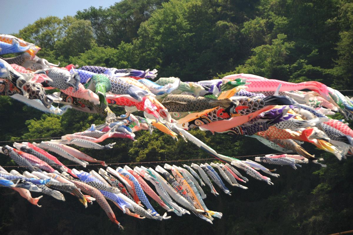 神奈川県をウロウロ 泳げ鯉のぼり相模川 相模原 神奈川県 の旅行記 ブログ By てんとう虫さん フォートラベル