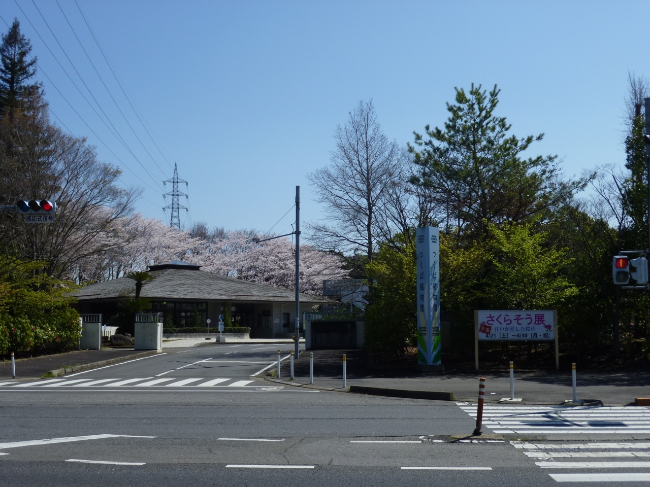12年04月 春の関東 つくばｅｘでつくば市 筑波実験植物園へ行きました 終 つくば 茨城県 の旅行記 ブログ By Ntkj62さん フォートラベル