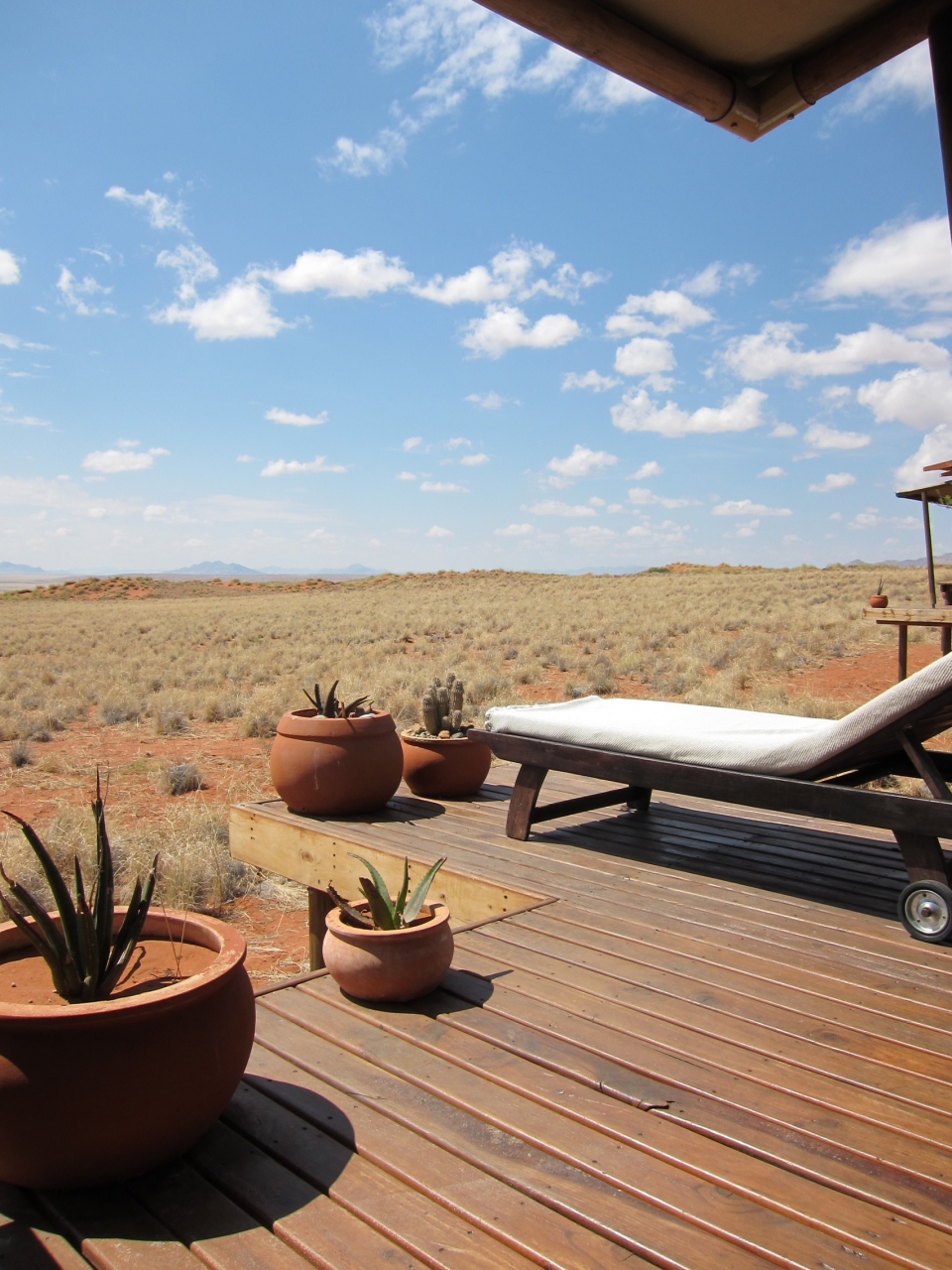 Wolwedansに憧れて １ ナミブ砂漠周辺 ナミビア の旅行記 ブログ By チョビシエスタさん フォートラベル