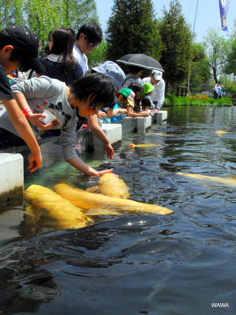 さいたま水族館 行田 羽生 加須 埼玉県 の旅行記 ブログ By Mireinaさん フォートラベル