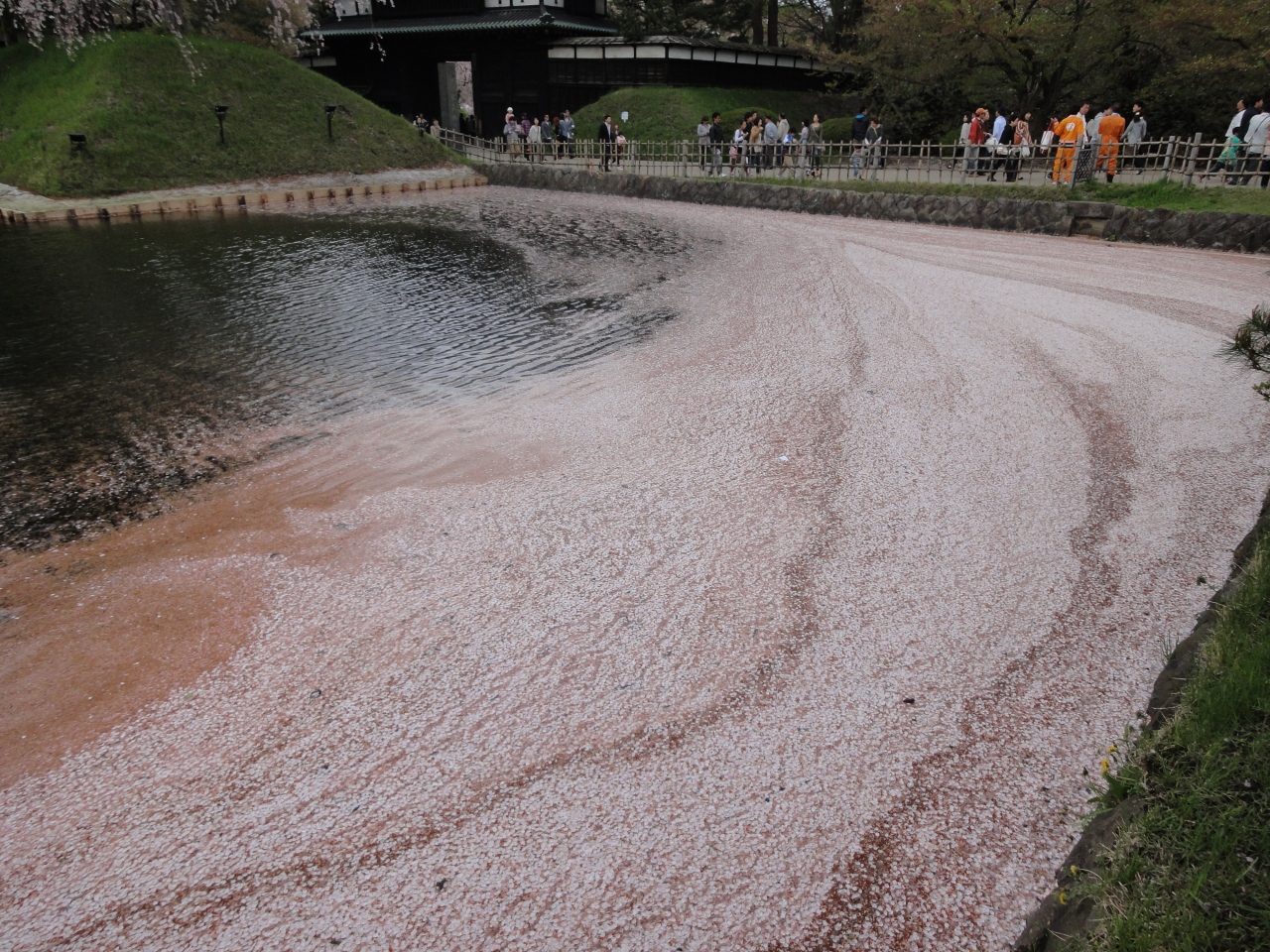 弘前 桜 日帰り温泉 12gw 弘前 青森県 の旅行記 ブログ By Ryoさん フォートラベル