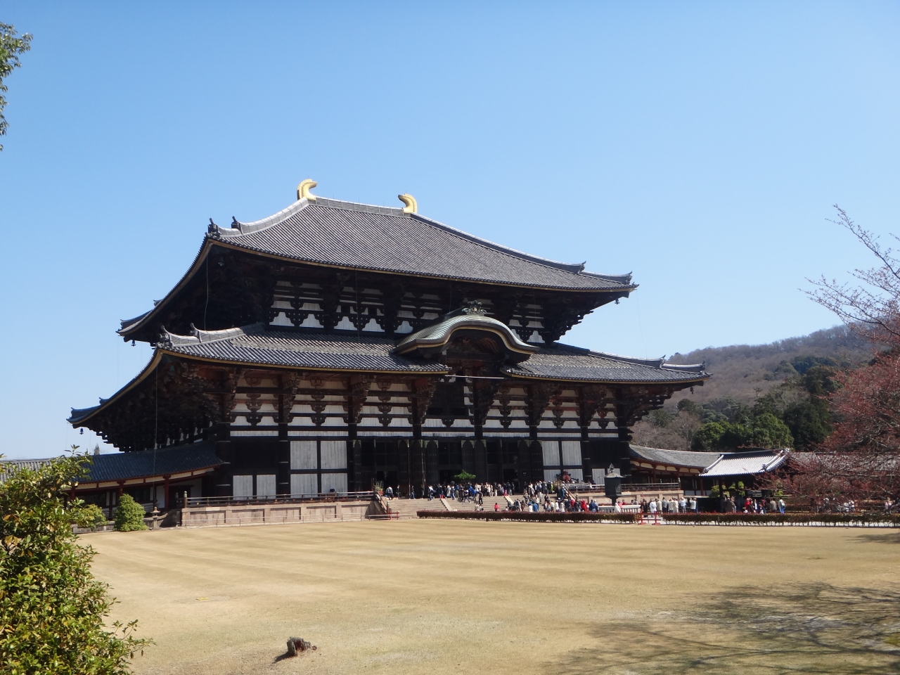 12年4月 快晴の奈良公園vol 1 氷室神社 南大門 東大寺 編 奈良市 奈良県 の旅行記 ブログ By Brioさん フォートラベル