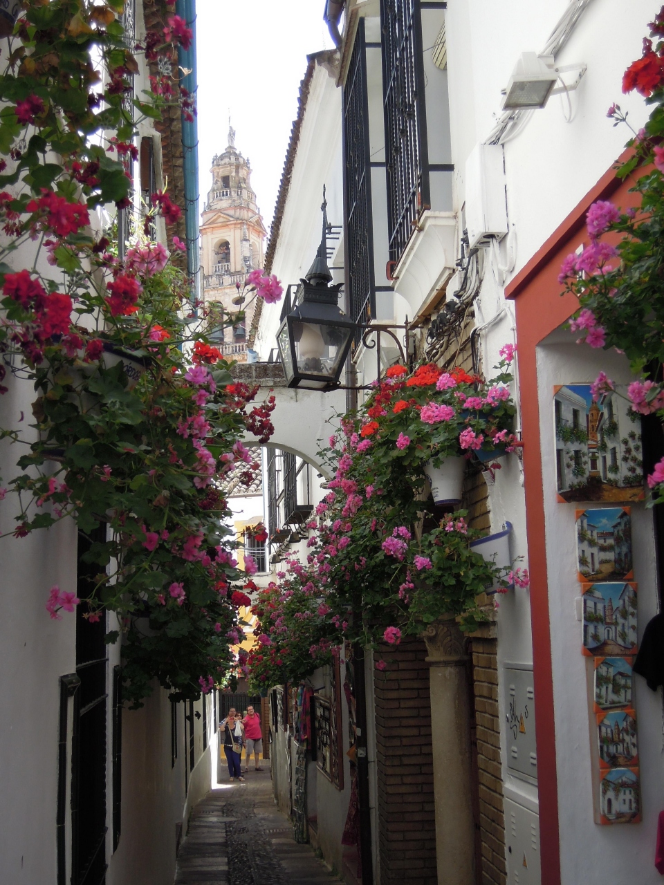 6 スペイン コルドバの満開の花の小径 12年5月15日 コルドバ スペイン の旅行記 ブログ By ミックタチトシさん フォートラベル