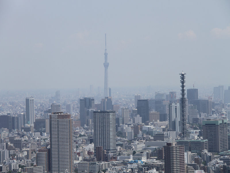 東京都庁展望室 45階からの眺望 東京スカイツリー 東京タワーも見れるのです 新宿区 東京都 新宿 東京 の旅行記 ブログ By Sintabiさん フォートラベル