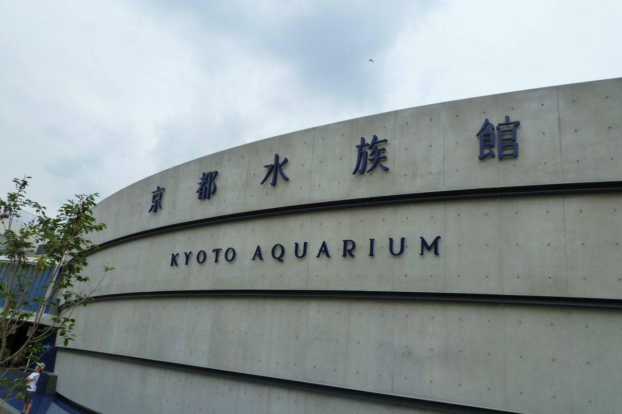 京都へ 梅田でネギ焼 京都水族館 梅田 京都駅周辺 京都 の旅行記 ブログ By Norikumiさん フォートラベル 京都へ 梅田でネギ焼 京都水族館 梅田 京都駅周辺 京都 の旅行記 ブログ By Norikumiさん フォートラベル