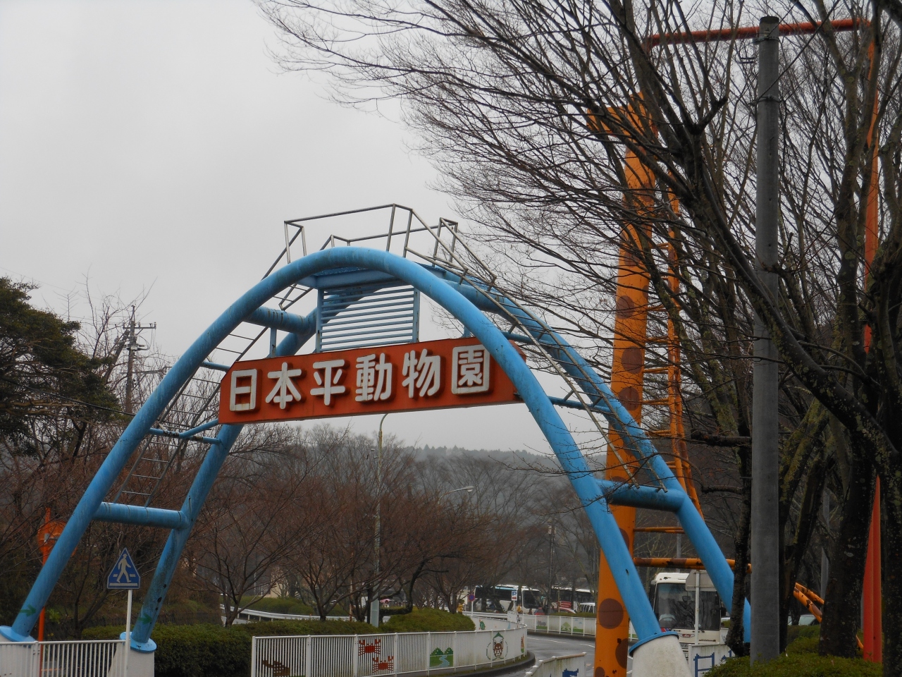 日本平動物園 静岡市 葵区 駿河区 静岡県 の旅行記 ブログ By すしすきさん フォートラベル 日本平動物園 静岡市 葵区 駿河区 静岡県 の旅行記 ブログ By すしすきさん フォートラベル