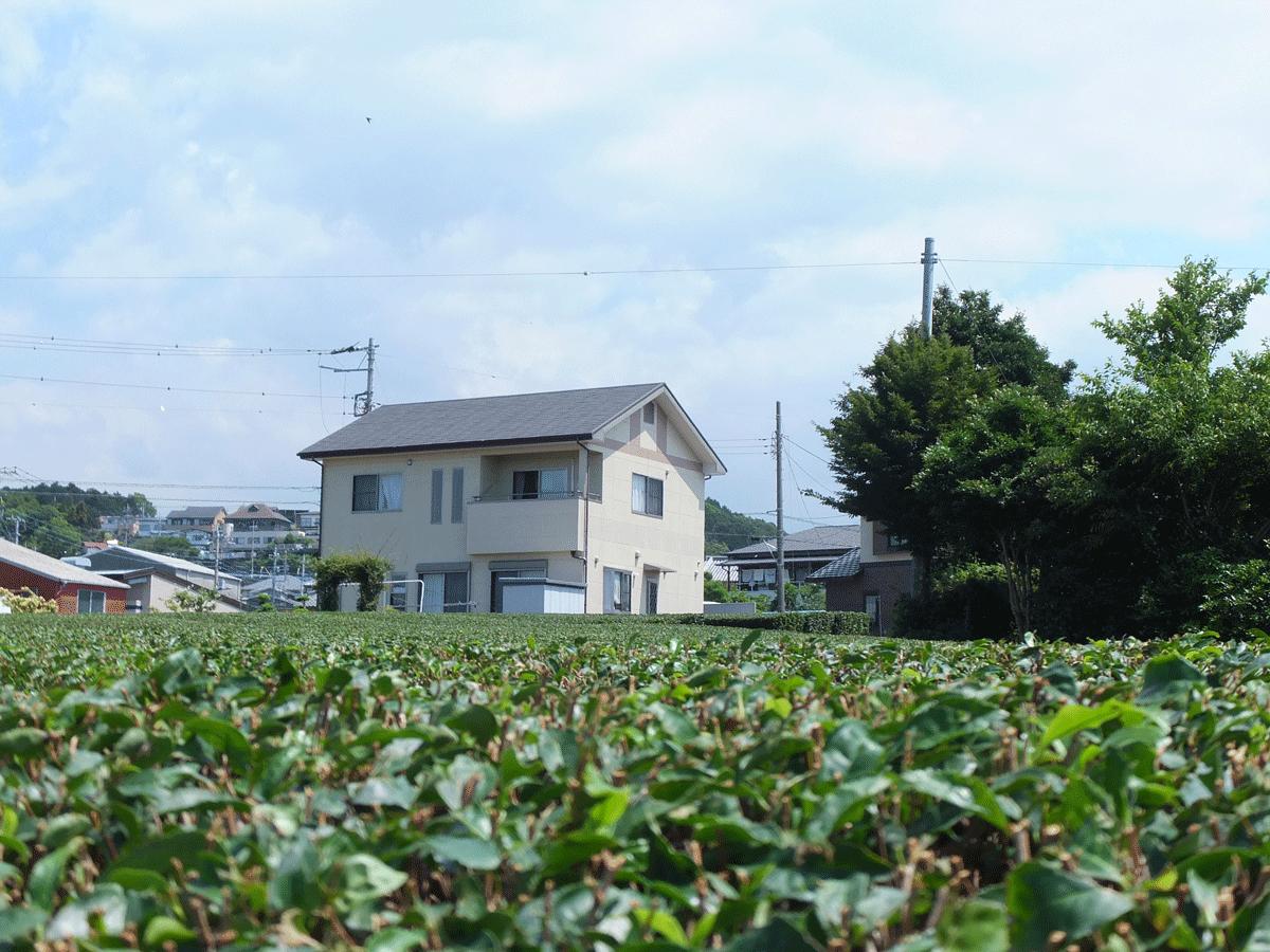 自転車でウロウロ 2012 06 29 Nhkドラマ はつ恋 のロケ地富士市 パート 富士 静岡県 の旅行記 ブログ By てんとう虫さん フォートラベル 自転車でウロウロ 2012 06 29 Nhkドラマ はつ恋 のロケ地富士市 パート 富士 静岡県 の旅行記 ブログ By てんとう虫さん フォートラベル