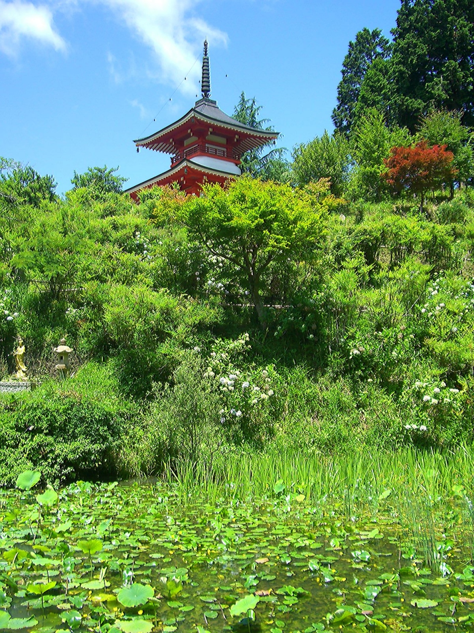 晴れの国 岡山 紫陽花寺 美作 大聖寺 津山 長法寺 美作 湯郷温泉 岡山県 の旅行記 ブログ By Comevaさん フォートラベル